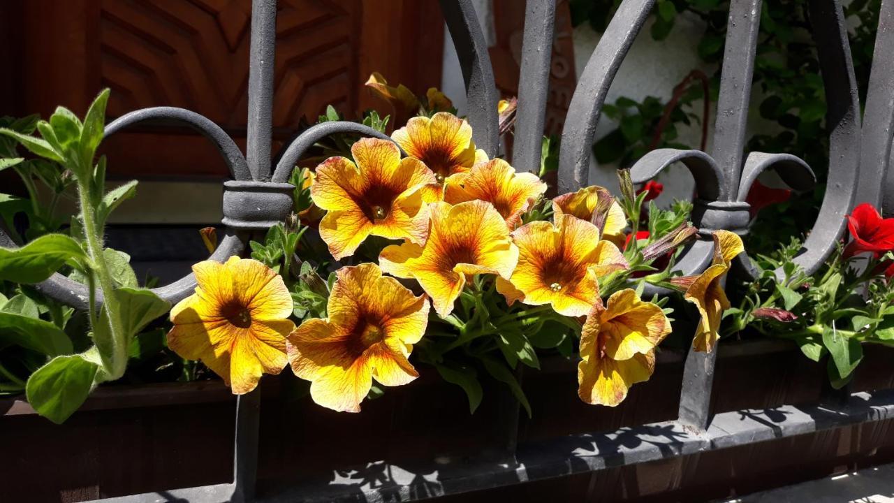 Haus Ruetzbach Appartement Neustift im Stubaital